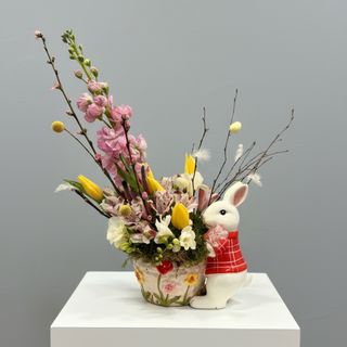 Iepuraș de primăvară