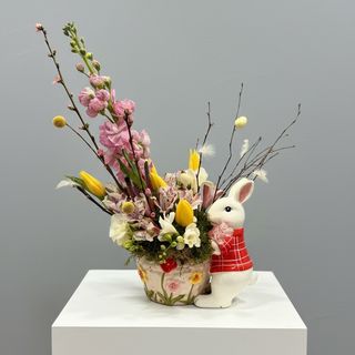 Iepuraș de primăvară