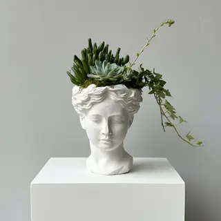 Aranjament floral cu suculente în vas tip statuetă