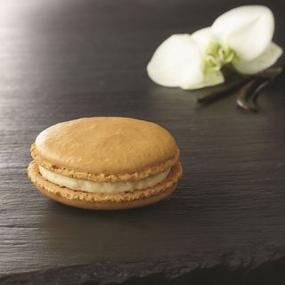 Macaron vanille