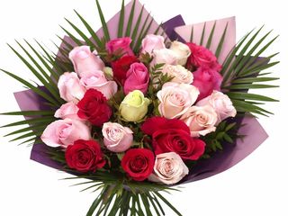 Buchet 25 Trandafiri Multicolori