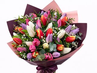 Buchet 51 Lalele MULTICOLORE