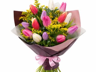 Buchet 15 Lalele colorate