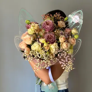 Apricot Fairy