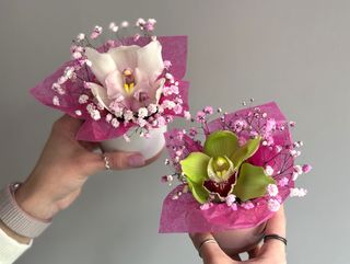 Little Orchid