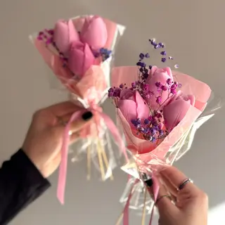 Tulip Dream