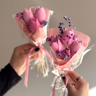 Tulip Dream