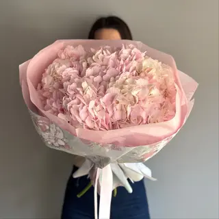 Pink Cloud