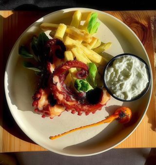 Caracatița cu mixt de salata, dovlecel sticks si sos tzatziki