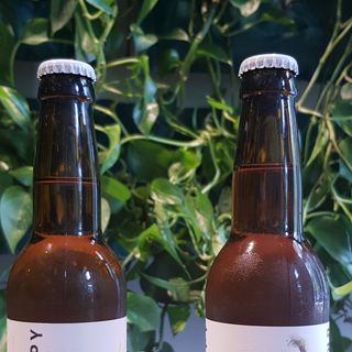 Craft Beer  Hop Hollings