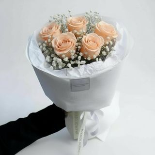 5 trandafiri peach cu gypsophila