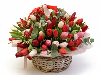 Coș cu lalele mix premium