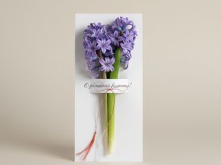 Martisor - Zambila Mov