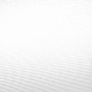 Rață cu urechi de lemn