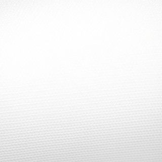 Piept de porc  prajit