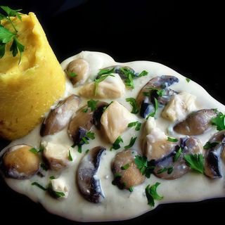 Ciulama de pui cu ciuperci si mamaliguta