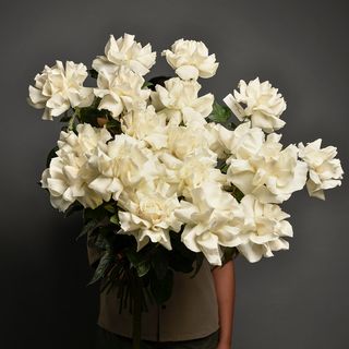 Buchet trandafiri speciali albi