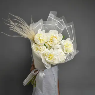 Buchet 7 bujori albi