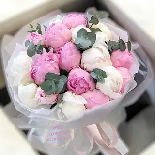 Delicate Flowers
