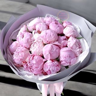 Sugar Pink