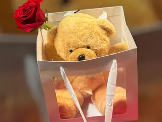 Teddy gift