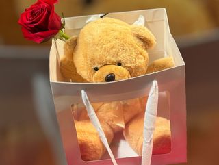 Teddy gift