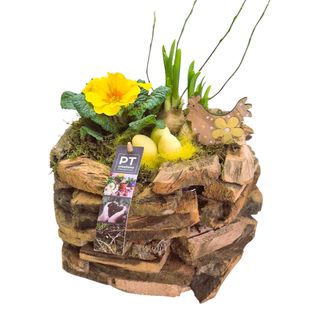 Aranjament cu mix de primavara