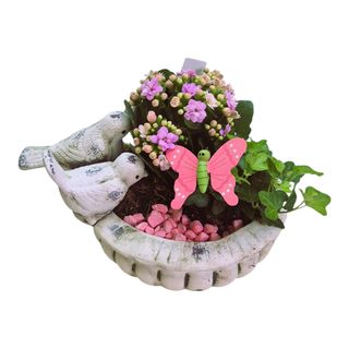 Aranjament cu Pasarele