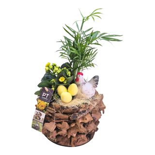 Aranjament cu flori mixte de paste