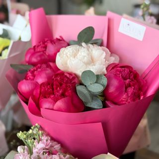 Buchet 5 bujori roz