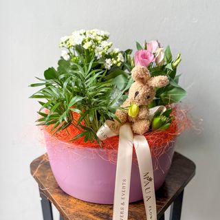 Aranjament mare cu plante