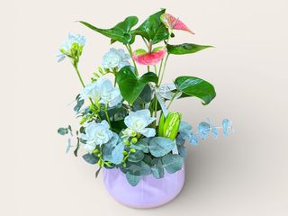 Soft morning dew - aranjament zambila si frezii