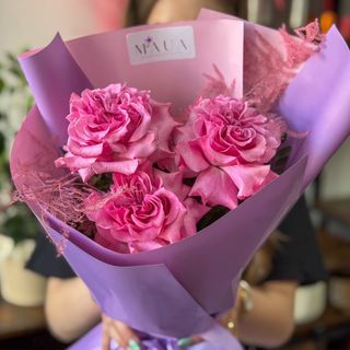 Garden Roses