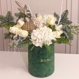 Regatul Crăciunului