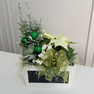 Euforia Crăciunului