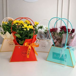 Crizantema in ghiveci