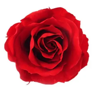 Buchet Flori Cerere speciala trandafiri