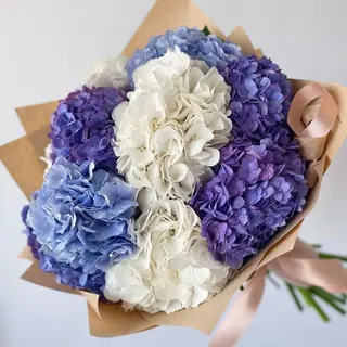 Buchet 9 Hortensii