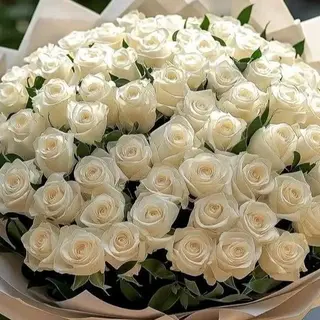 Buchet 101 Trandafiri Albi