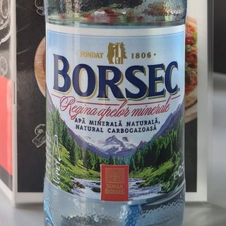 Borsec minerala 500ml