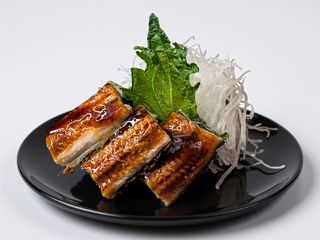 Sashimi Unagi
