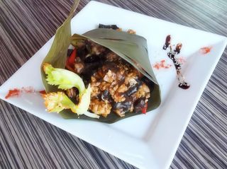 Pui cu urechi de lemn