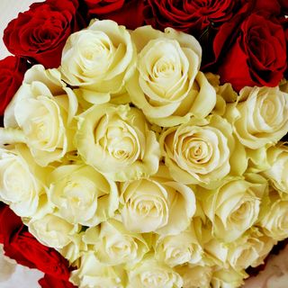 Buchet 31
