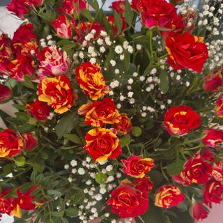 Buchet 29