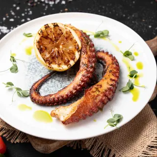 Caracatiță