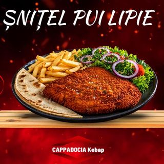 Șnițel pui lipie