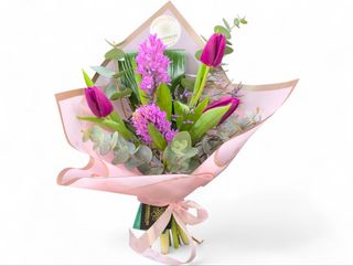 3 lalele mov si 2 ambile roz