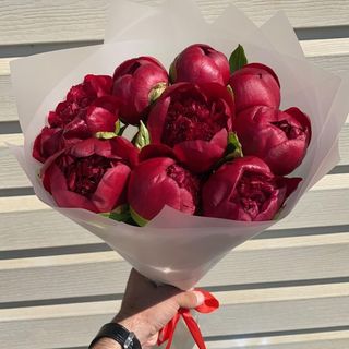 9 bujori bordo