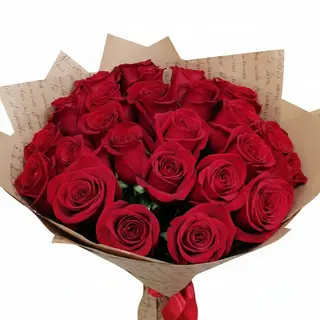All of you