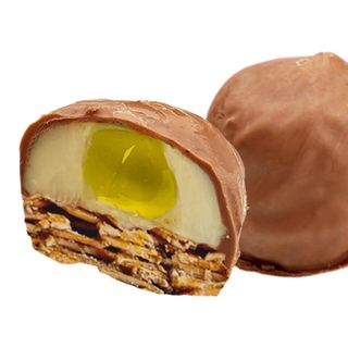 Florentine cu piure de lămâie și înveliș cu ciocolată cu lapte